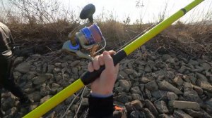 Огромные сазаны на дергач #fishing #рыбалка #낚시