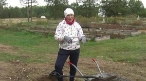 Как посадить вишню по принципу пермакультуры