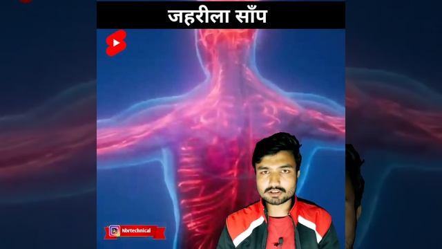 सांप काटले जहर सरीर के अंदर जाता हैं तो क्या होता हैं snakes venomous inject Human Body #shorts смотреть онлайн