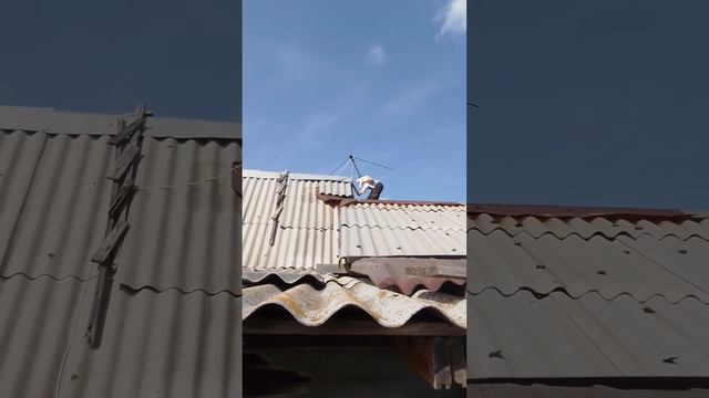 домашняя обезьяна часть 2 смотреть онлайн