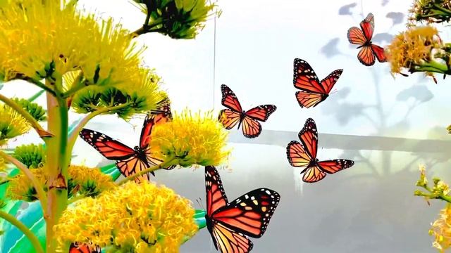 4K-UHD #The INDIGO HOTEL DTLA #WINTER TREE AnD Yellow 🍁 leaves смотреть онлайн