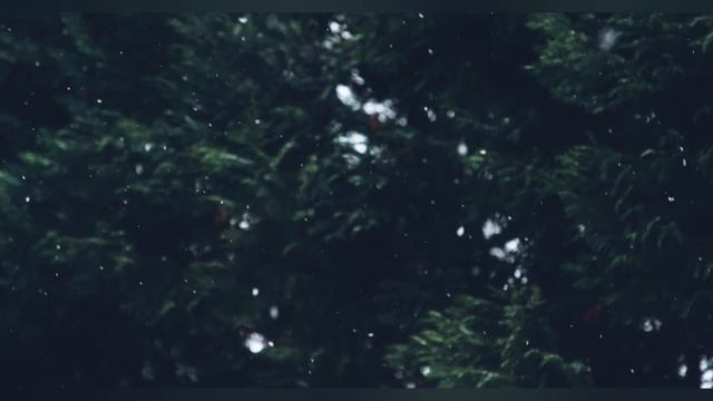 We wish you a Merry Christmas (2021) смотреть онлайн