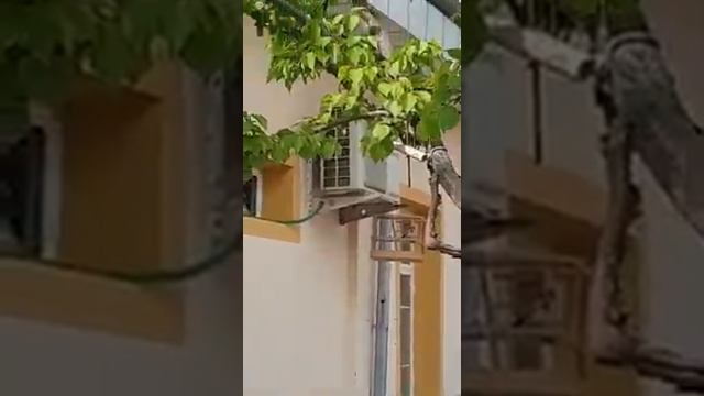 3 апреля 2019 г.(3) смотреть онлайн