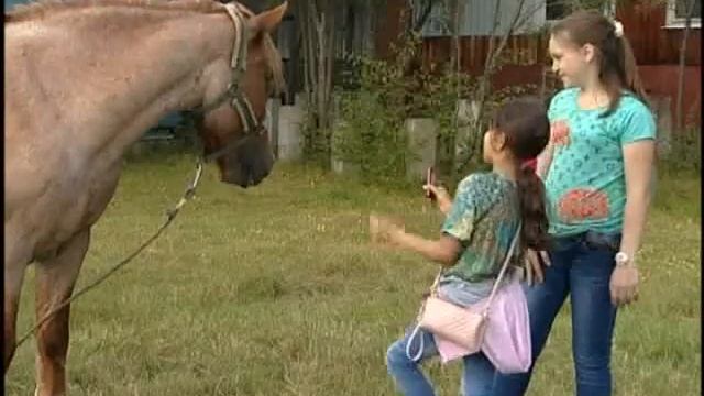 Мечты сбываются (12+) смотреть онлайн