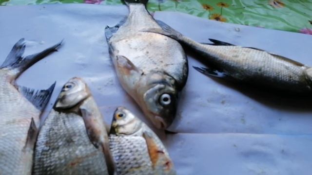 Херсон 19.03.2022.Доброта людей! смотреть онлайн