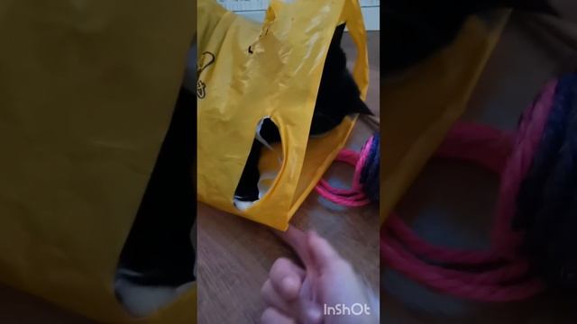 Топовая вещь - Пакет с дырками! Лучший игровой комплекс. смотреть онлайн