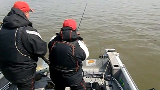 Рыба.wmv смотреть онлайн