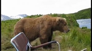 На Камчатке медведь подсел к рыбаку и посмотрел с ним на местные пейзажи