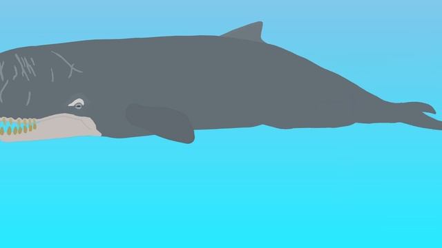 Livyatan melvillei смотреть онлайн