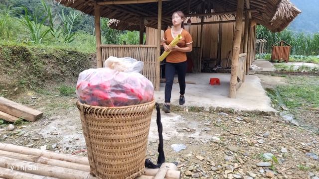 Harvest the garden of red radishes and bring them to the market to sell - farm life - Lý Thị Sai смотреть онлайн