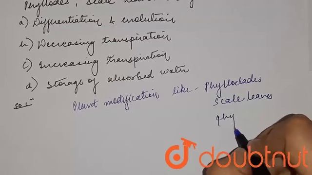 Some plants possess modifications like phyllodes, scale leaves, etc. for | 12 | TRANSPORT IN PL... смотреть онлайн