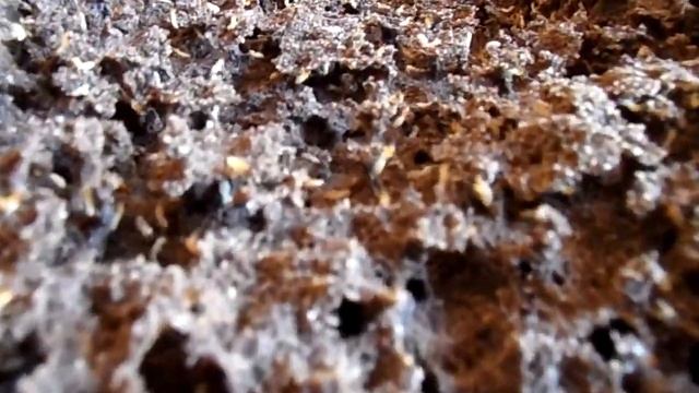 Termites building a mound on floor of garage смотреть онлайн