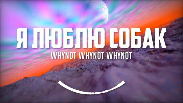 Whynot Whynot Whynot - Я люблю собак (Eban'ko Cute Cover) [conscious Rap, Progressive Soul]