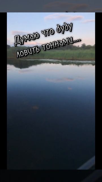 #fishing #судак #рыбалка #carpfishing #fishingvideo #рыба #окунь #щука #обзор #врек #спиннинг смотреть онлайн