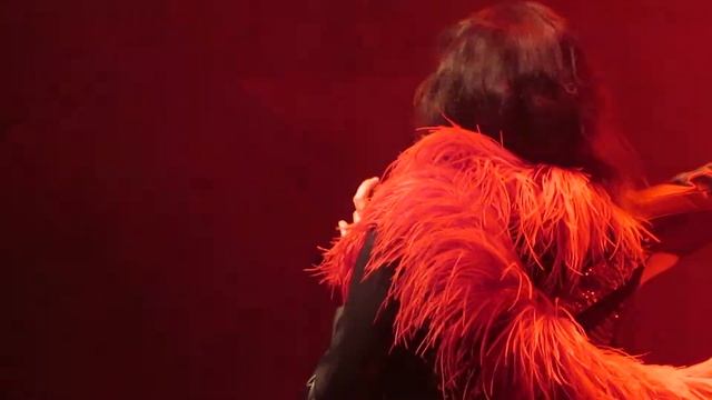 Luz Casal - Un Año de Amor (Viña del Mar-Chile 2019) смотреть онлайн