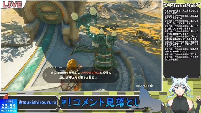 【ゼルダの伝説 ティアーズ オブ ザ キングダム】#2 全てはパワー！！🐺✨【月白うる🐺🌙/新人Vtuber】 смотреть онлайн