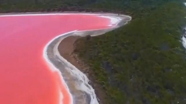 PLAYLIST IPTV SPORTS OTT NAVIGATOR / TIVIMATE