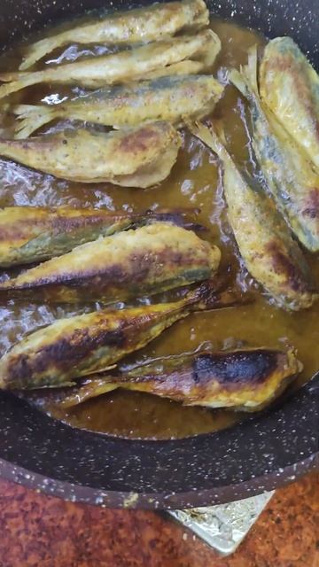 3 июня 2023 г. смотреть онлайн