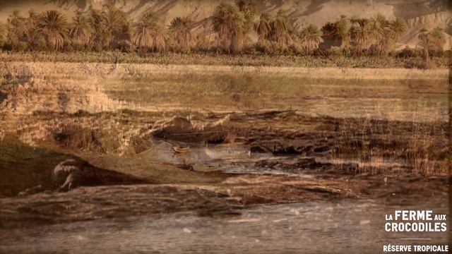 Patrick Cartoux - épisode 3 : La vénération de Sobek, Dieu Crocodile смотреть онлайн