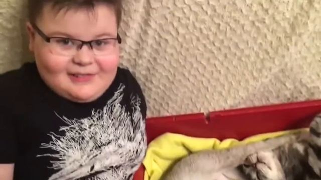 У нас родились котята! смотреть онлайн