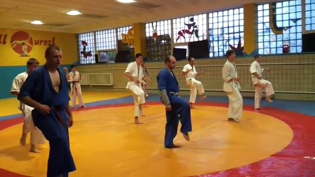 Тренироака СК ОМЕГА взрослые 4 смотреть онлайн