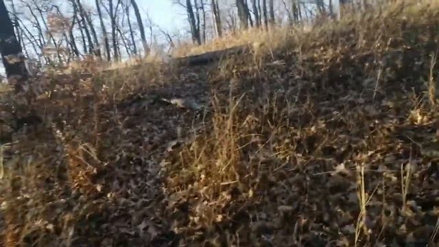 Закат - 2. смотреть онлайн