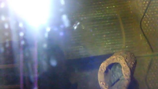 fish for sale смотреть онлайн