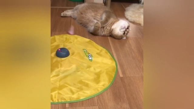 30 августа 2023 г. смотреть онлайн