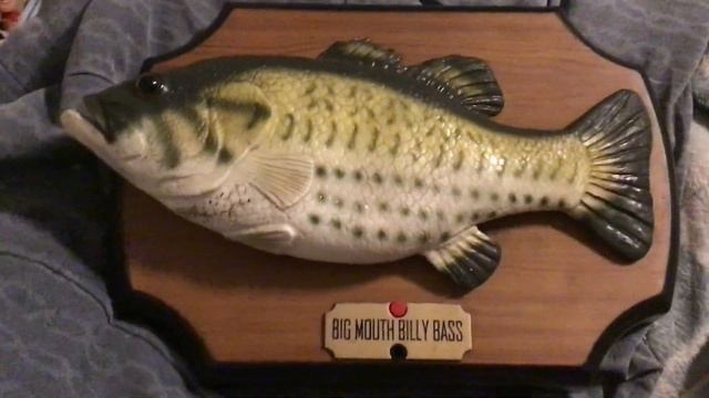 The original big mouth Billy Bass the singing sensation aka goodwill find from November 2018. смотреть онлайн