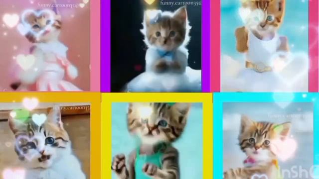 Крутая песня (песни кошек) 🏄🏄😺😺😺😺😺❤️❤️❤️❤️ смотреть онлайн