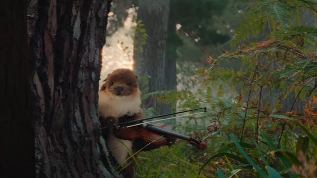 2022 Galaxy A: The Awesome Product Adventure | Samsung смотреть онлайн