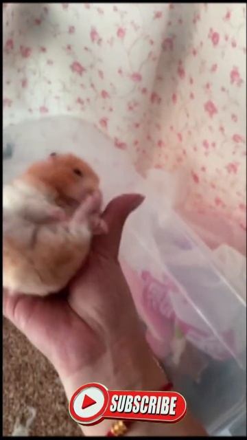 cute смотреть онлайн