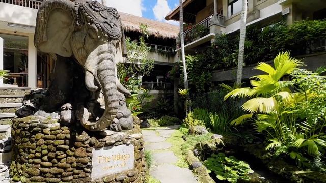 What to do in UBUD, BALI VLOG staying at The Udaya Instagram famous Bali Hotel смотреть онлайн