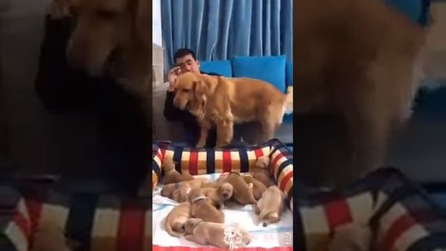 Я нашел самое интересное видео смотреть онлайн