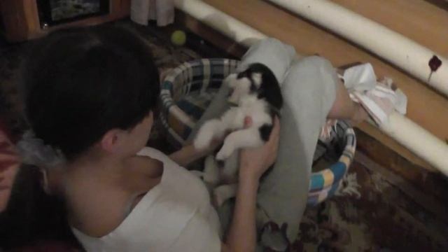 00091 смотреть онлайн