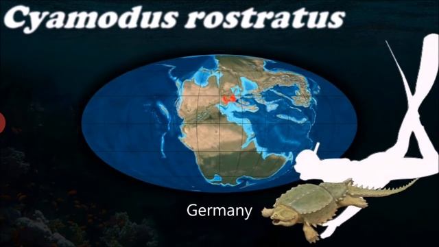 Evolution of Turtles (part 2) Placodontia смотреть онлайн