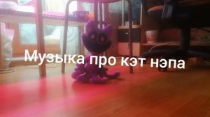 Музыка про кэт нэпа