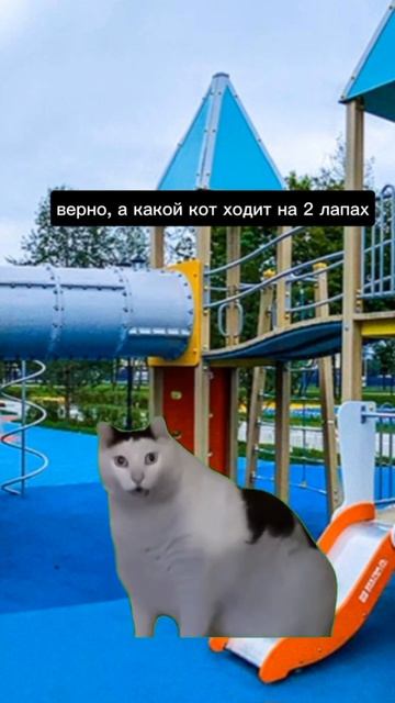 почти получилось#рек#youtube#cat#mems смотреть онлайн