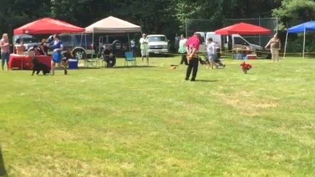 Amateur teenage bitches смотреть онлайн