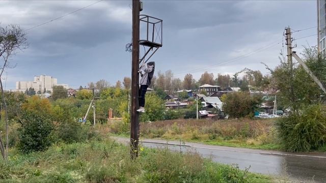 VLOG#14 Заборы кошки и обмеры смотреть онлайн