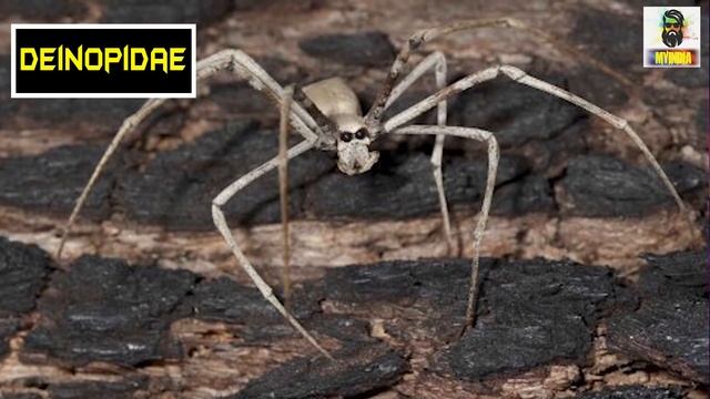 Royal Enfield की बाइक पर ये CODES क्यूँ होते हैं? 15 Most Amazing Random Facts in Hindi TFS EP 90 смотреть онлайн