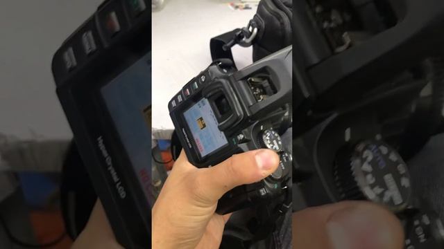 24 мая 2023 г. смотреть онлайн