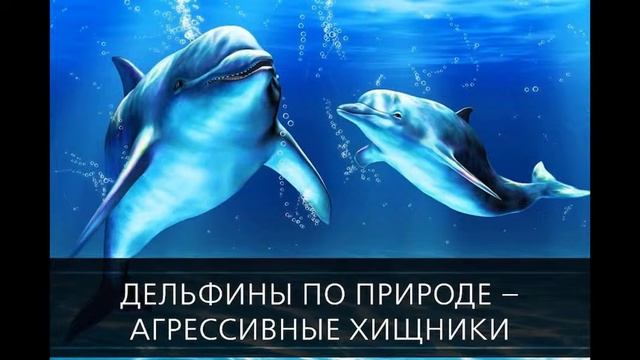 ФАКТЫ ДНЯ. Интересная информация для Вашего ума (Часть 49) смотреть онлайн