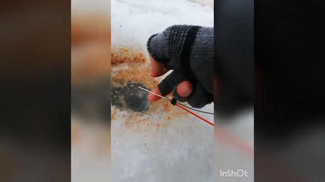 Рыбалка.Атака ершей! смотреть онлайн