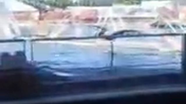 Les orques hors spectacle au marineland смотреть онлайн