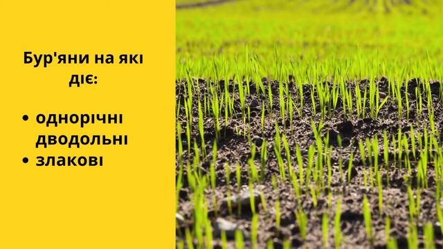 Гербіцид Арена 🍂 , опис препарату 🍂 смотреть онлайн