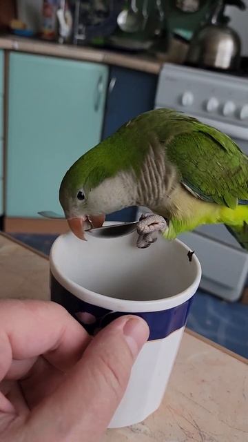 пьём чай смотреть онлайн