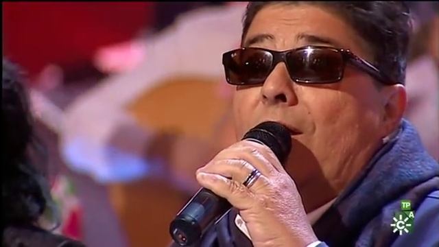 El Mani- Sevillanas- gala 20 Yo soy del sur смотреть онлайн