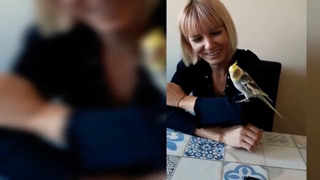 Говорящий попугай по имени Чикко!))) Chikko adlı konuşan papağan!))) смотреть онлайн