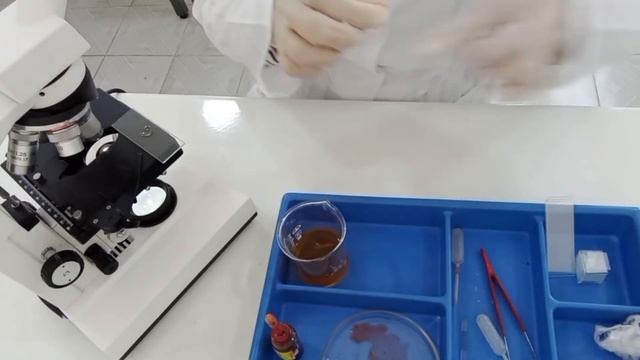 7-sinf Laboratoriya | Tufelkaning Tuzilishi, Harakatlanishi Va Ta’sirlanishini O'rganish